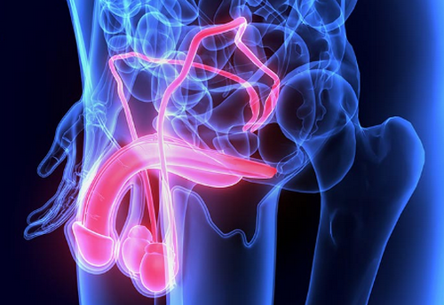 Nguyên nhân gây rối loạn cương dương có thể bạn chưa biết