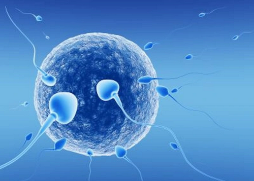 Quan hệ xuất tinh sớm là mắc bệnh gì, làm cách nào để cải thiện